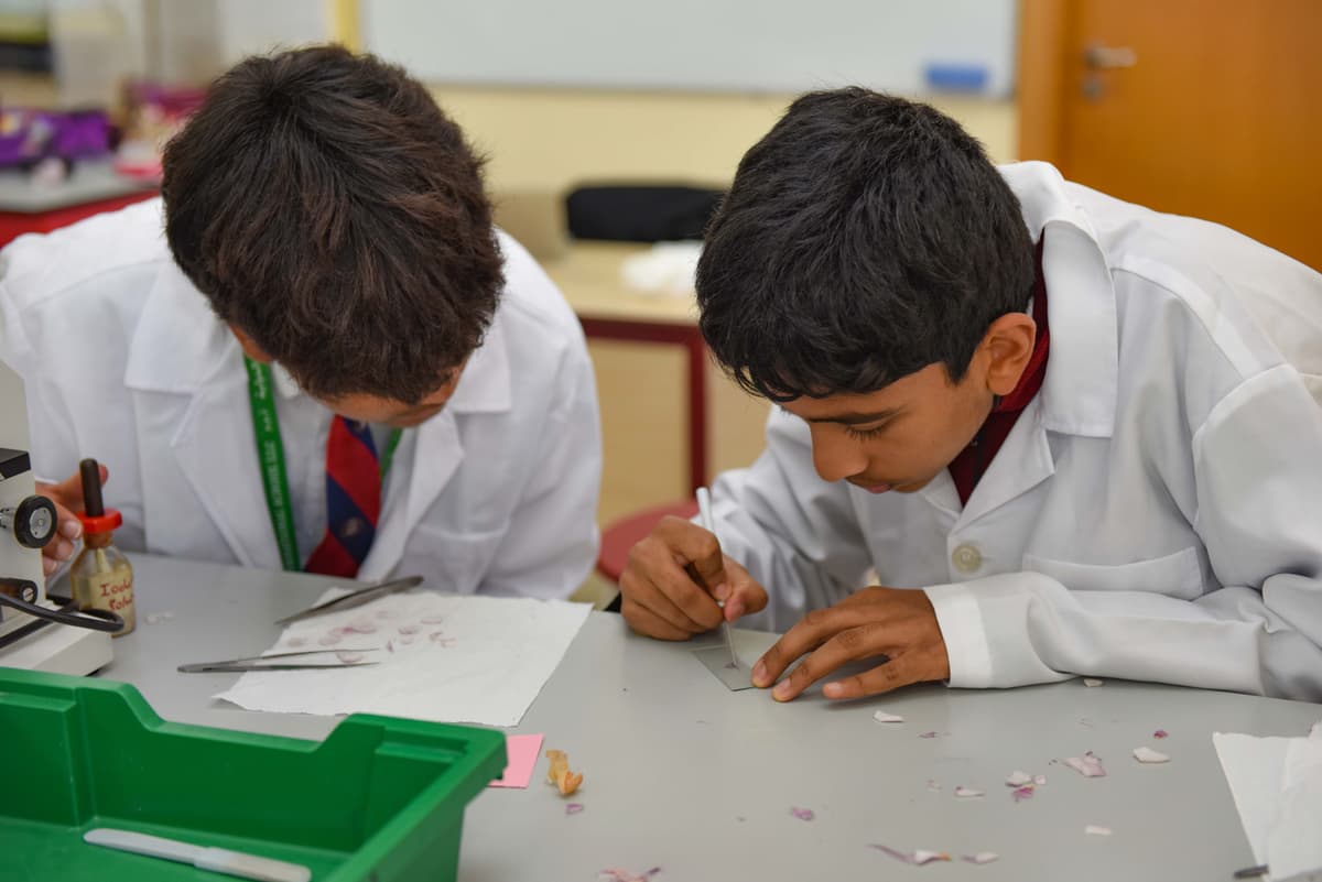 image - 2025-09-18T090710.550.jpg